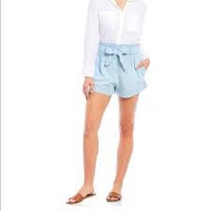 Anthropologie Cloth & Stone High Rise‎ Tie Waist Pleated Shorts NWT Sz XL